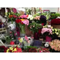 Floramande
